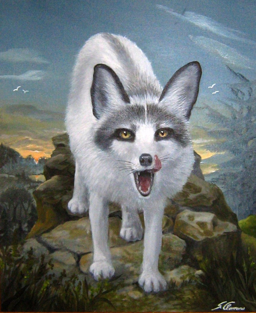 Fuchs