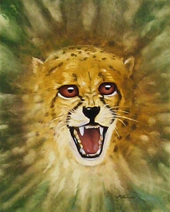 Gepard
